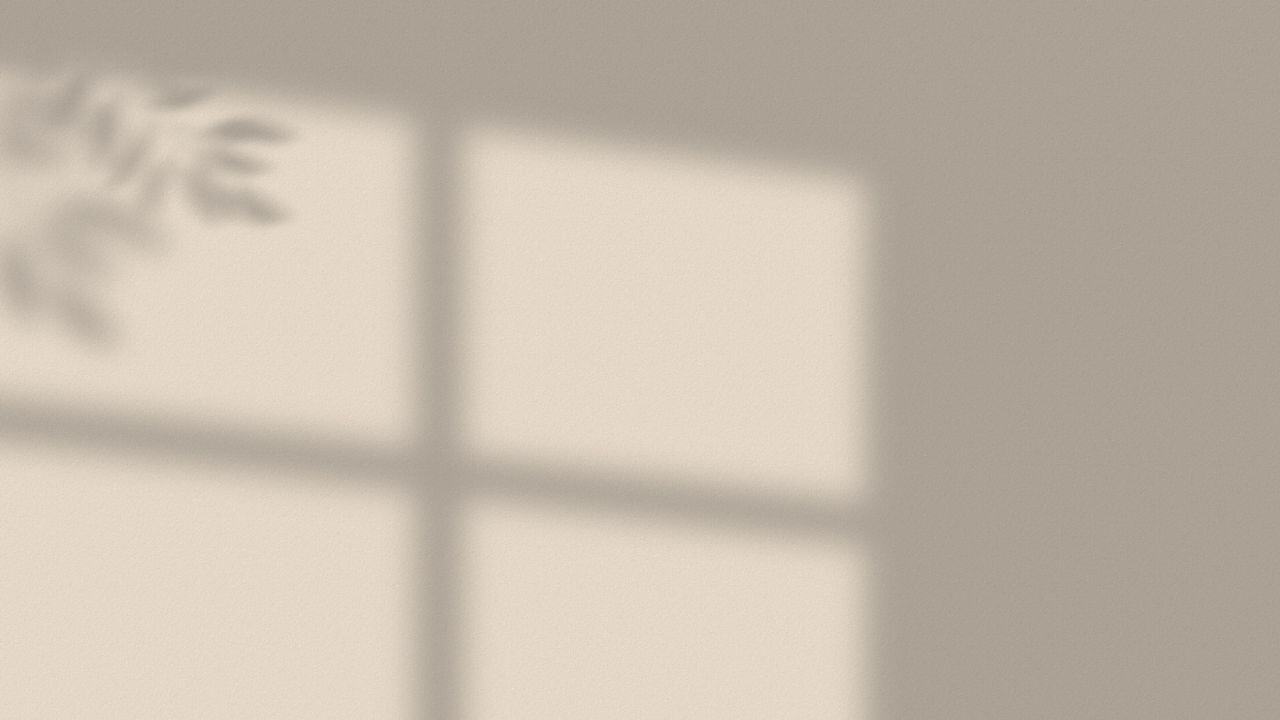 the shadow of a window